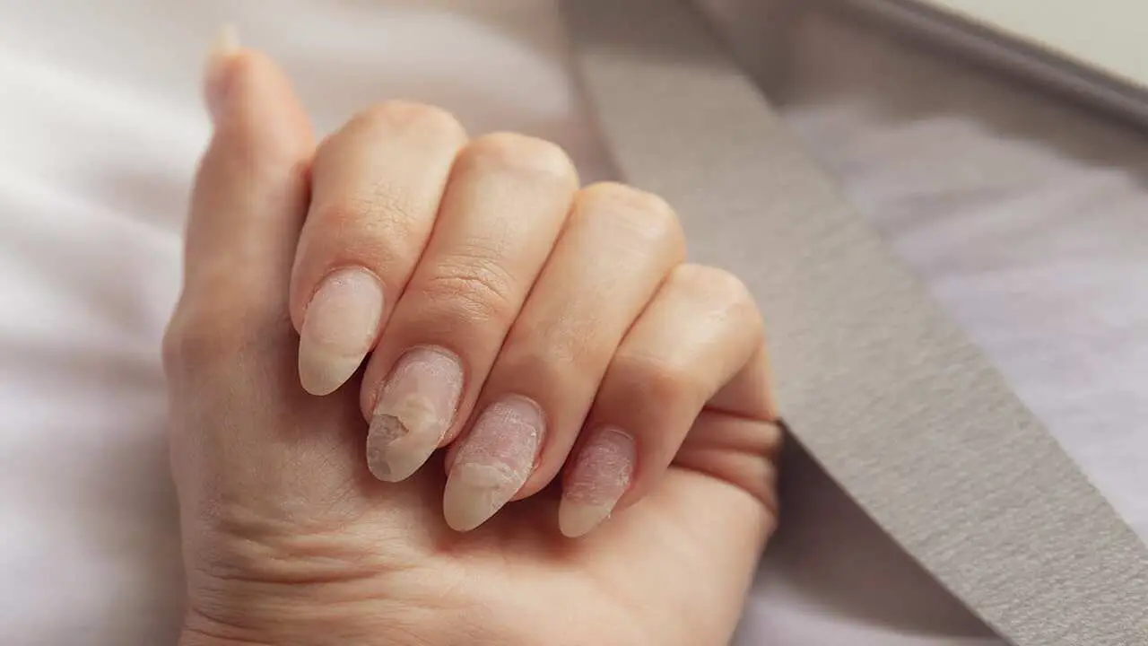 What Shellac Is And How It Is Applied