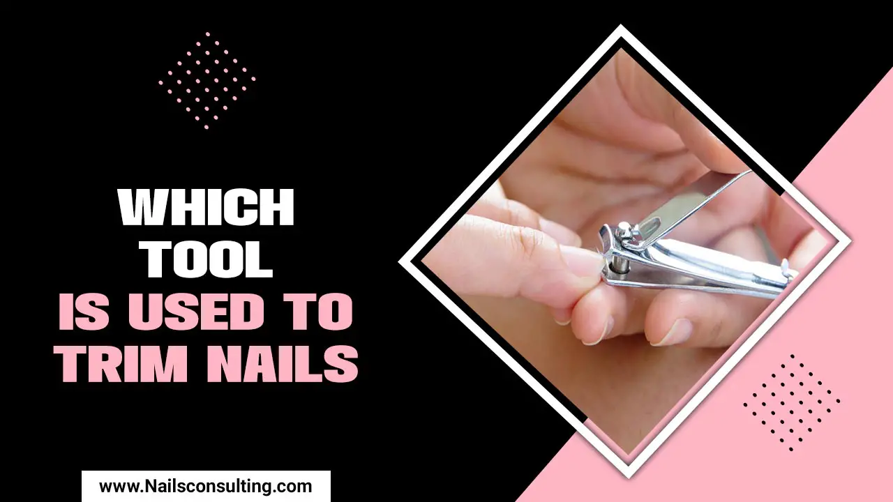 Which Tool Is Used To Trim Nails