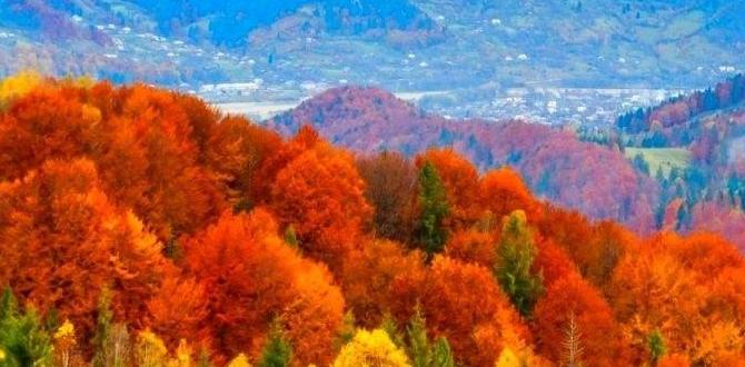 autumn plaid french nails