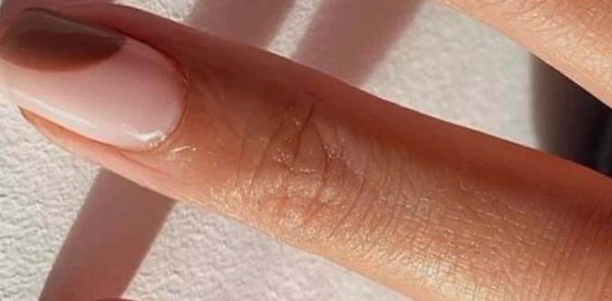biab nail designs for beginners