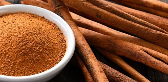 cinnamon french nails