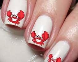 A-TINY-LITTLE-CRAB-7