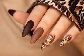 Brown-Color-4