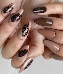 Brown-Color-8