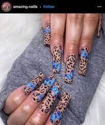 Coffin-Nails-with-Animal-Print-2