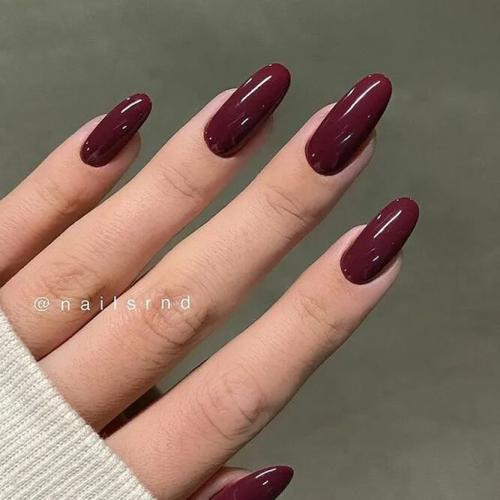 Elegant-Nail-Designs-In-Dark-Hues-1