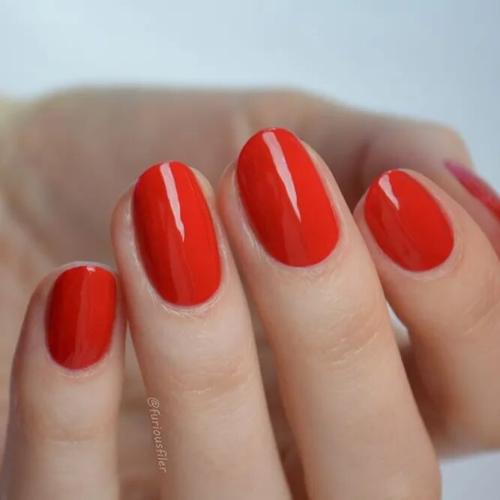 Fiery-Red-Fall-Color-1