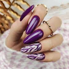 Nails-Design-With-Purple-Colors-6