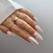 Nude-Matte-Nails-with-Black-Lines-4