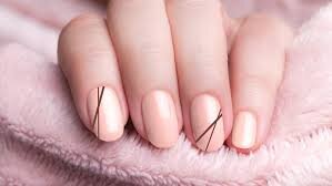 Nude-Matte-Nails-with-Black-Lines-9